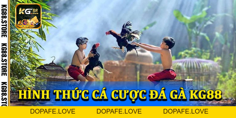 Đá gà KG88 - Nơi mang đến những cuộc chiến đầy kịch tính - kg88.store