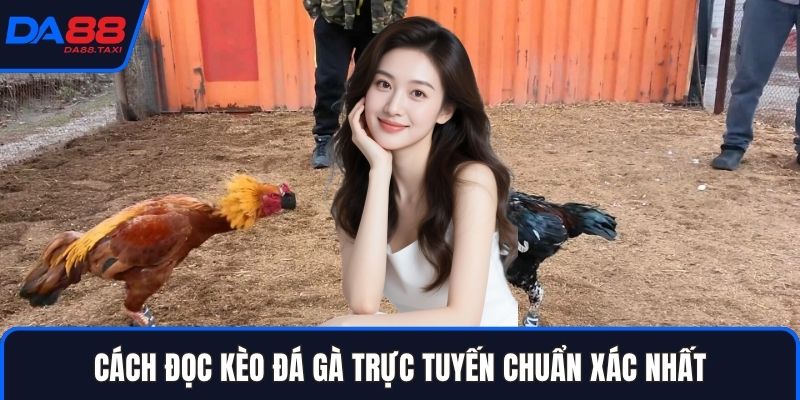 Hướng Dẫn Đọc Kèo Đá Gà Trực Tuyến: Thuật Ngữ Meron, Wala, BDD Từ DA88