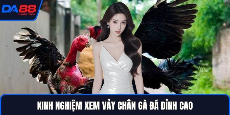 Cách Xem Vảy Chân Gà Đá Nhận Biết Thần Kê Tại Sảnh Đá Gà DA88