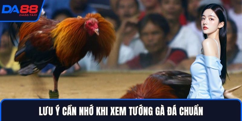 Hướng Dẫn Xem Tướng Gà Đá Đoán Thần Thái Trước Khi Đặt Cược DA88