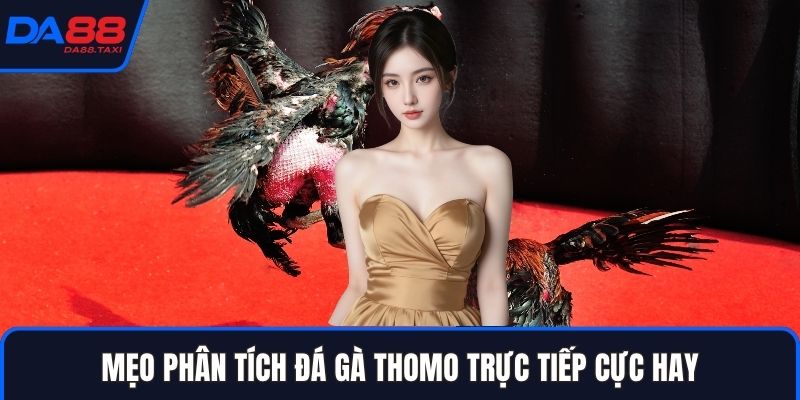 Khám Phá Trường Đá Gà Thomo Trực Tiếp: Quy Mô Và Độ Uy Tín Tại DA88