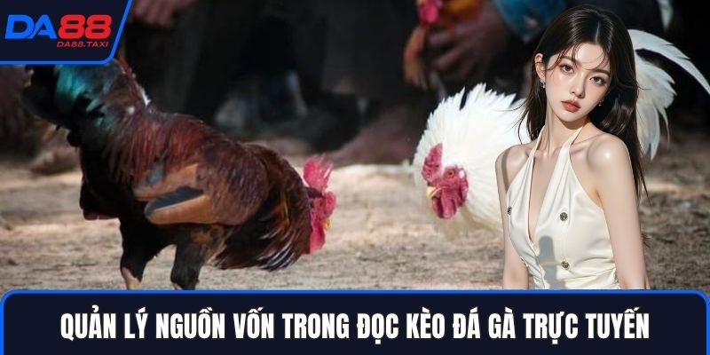 Hướng Dẫn Đọc Kèo Đá Gà Trực Tuyến: Thuật Ngữ Meron, Wala, BDD Từ DA88