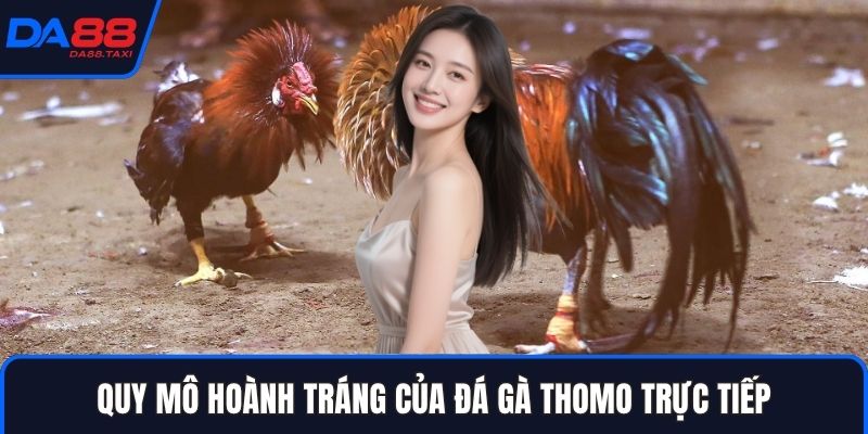 Khám Phá Trường Đá Gà Thomo Trực Tiếp: Quy Mô Và Độ Uy Tín Tại DA88