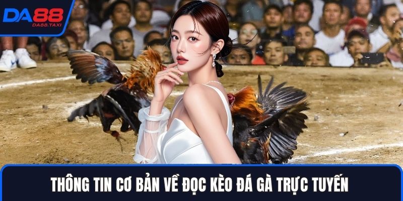Hướng Dẫn Đọc Kèo Đá Gà Trực Tuyến: Thuật Ngữ Meron, Wala, BDD Từ DA88